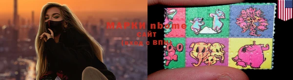 прущие грибы Надым