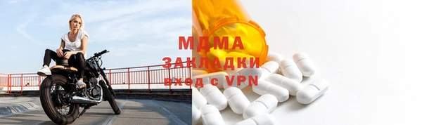 прущие грибы Надым
