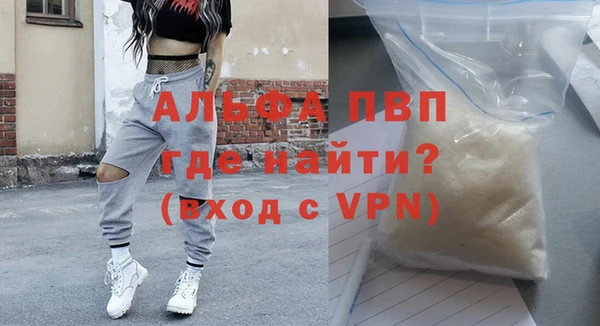 прущие грибы Надым