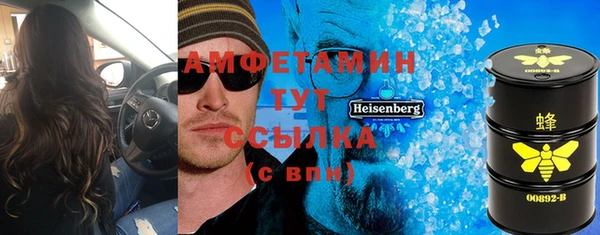 прущие грибы Надым