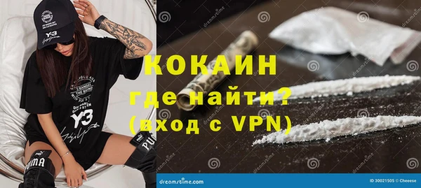 прущие грибы Надым