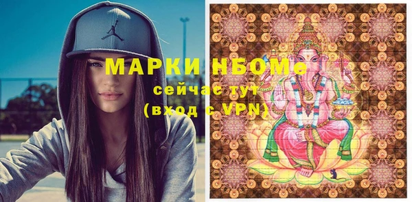 прущие грибы Надым