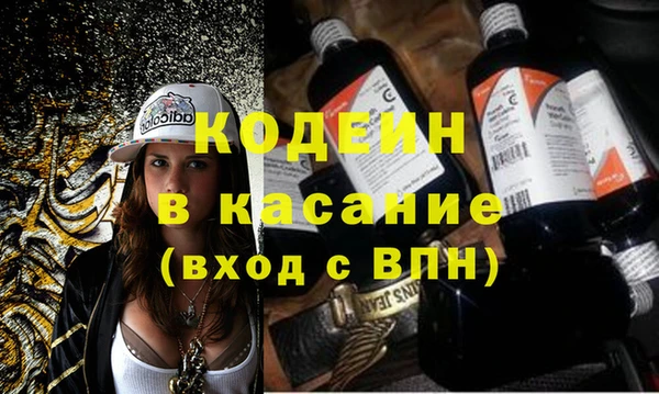 прущие грибы Надым
