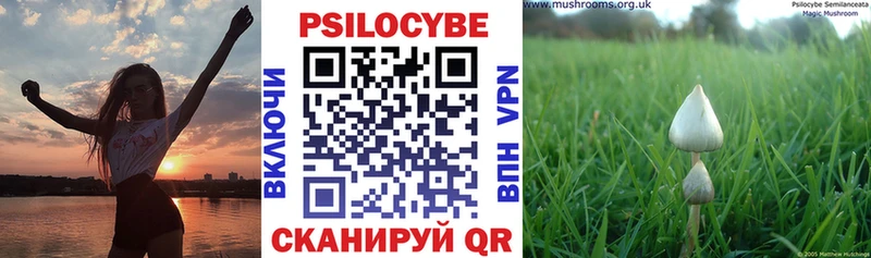 Псилоцибиновые грибы MAGIC MUSHROOMS Североуральск