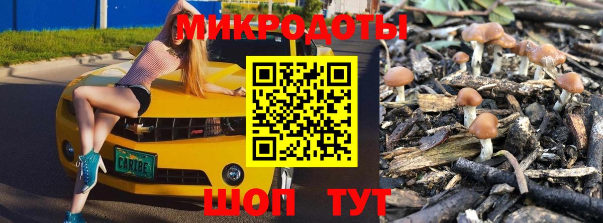 Североуральск  купить наркоту  Вход с VPN  Галлюциногенные грибы GOLDEN TEACHER 
