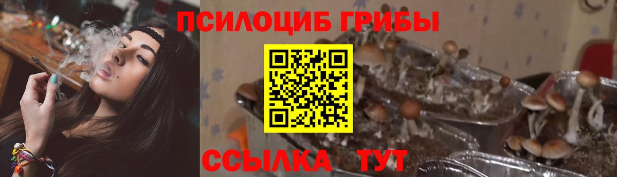 Псилоцибиновые грибы прущие грибы  Североуральск  Псилоцибиновые грибы ЛСД 