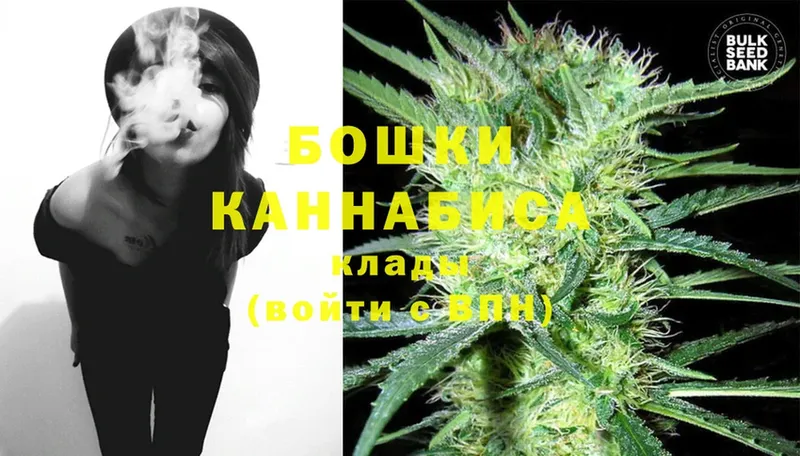 как найти наркотики  Североуральск  Шишки марихуана White Widow 